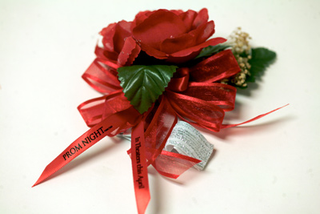 Illustration for article titled The year in swag: 27 ridiculous promotional items we received in 2009